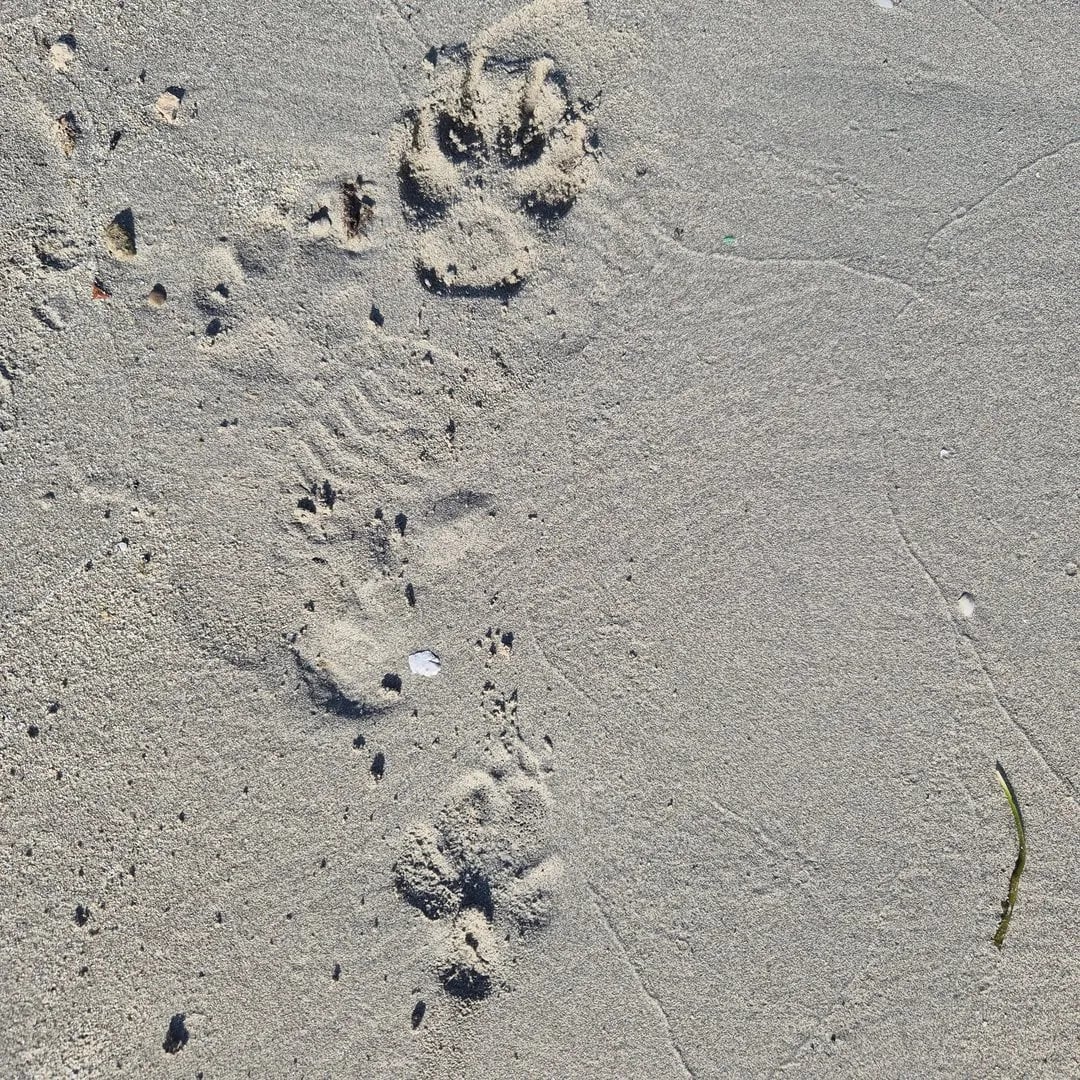 Göksun Çam - Oyuncu (44 yaşında) - Profil fotoğrafı ve resmi görsel